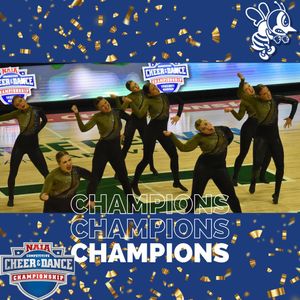 Image post by @SAUBEES on Twitter