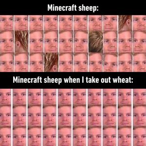 Image post by @9gag on Instagram