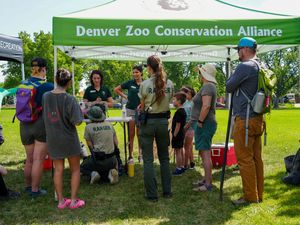 Image post by @denverzoo on Instagram