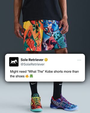 Image post by @soleretriever on Instagram