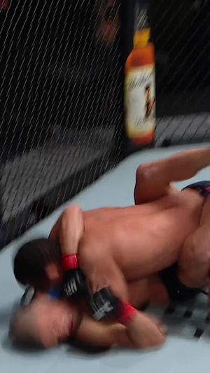 Video post by @ufc on TikTok