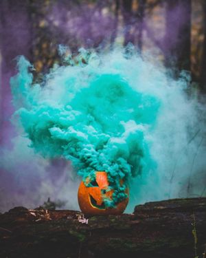 Image post by @canonusa on Instagram