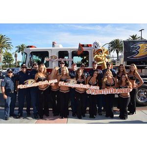 Image post by @anaheimducks on Instagram