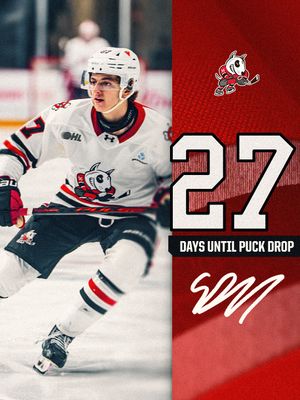 Image post by @ohlicedogs on Instagram