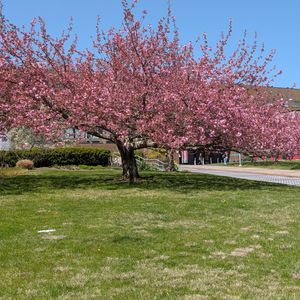 Image post by @stonybrooku on Instagram