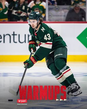 Image post by @minnesotawild on Instagram
