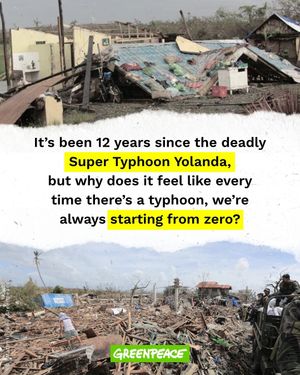 Image post by @greenpeace on Instagram