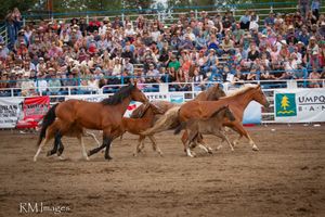 Image post by @sistersrodeo on Instagram