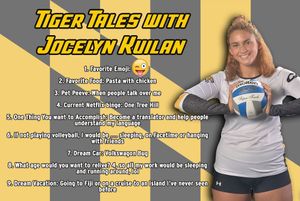 Image post by @towsontigersvb on Instagram