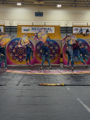 Image post by @wgicolorguard on Instagram