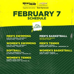 Image post by @lemoynedolphins on Instagram