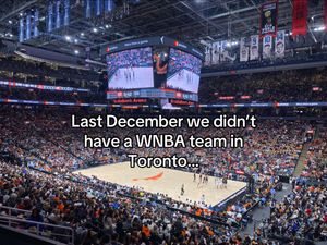 Video post by @torontotempo on TikTok