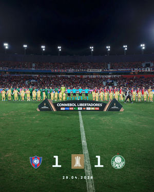 Image post by @palmeiras on Instagram