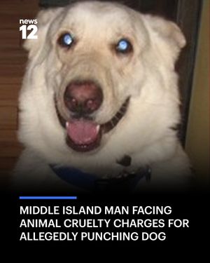 Image post by @news12li on Instagram