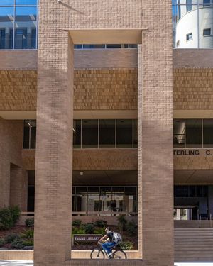 Image post by @tamu on Instagram