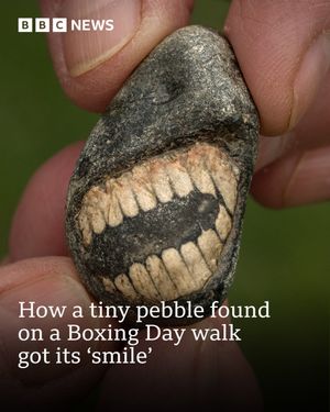 Image post by @bbcnews on Instagram