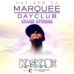 Image post by @marqueelv on Instagram