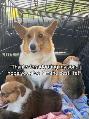 Image post by @shop_buddybythesea on Instagram