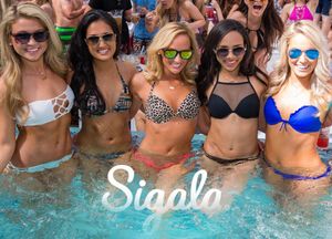 Image post by @marqueelv on Instagram