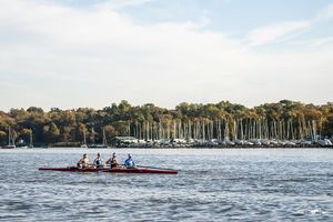 Image post by @smurowing on Instagram