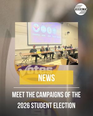 Image post by @lsutigertv on Instagram