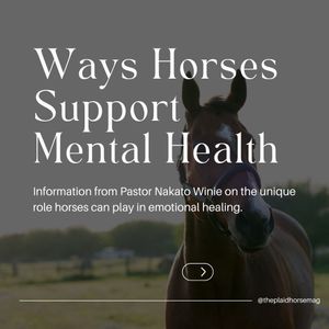 Image post by @theplaidhorsemag on Instagram