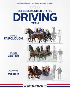 Image post by @usequestrian on Instagram