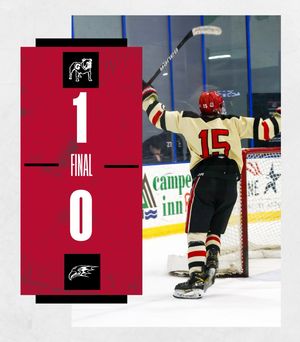 Image post by @ugahockey on Instagram