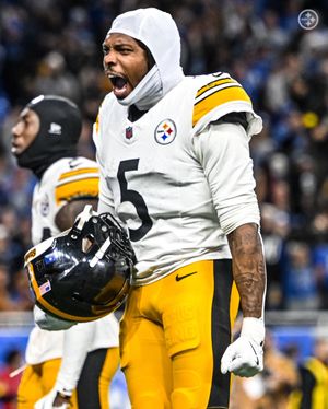 Image post by @steelers on Instagram