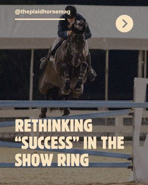 Image post by @theplaidhorsemag on Instagram