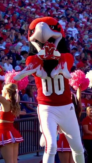 Video post by @owenh.media on TikTok