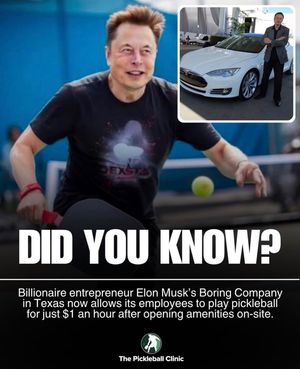 Image post by @thepickleballclinic on Instagram