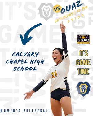 Image post by @vulions on Instagram