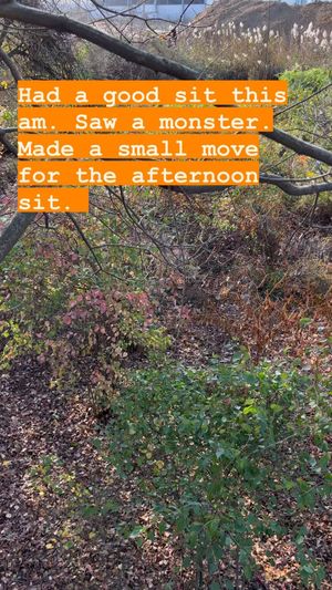 Video post by @thehuntingchallenge on Instagram