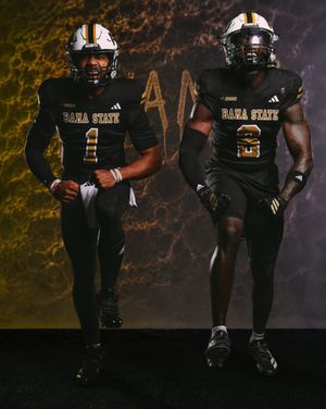 Image post by @theswac on Instagram