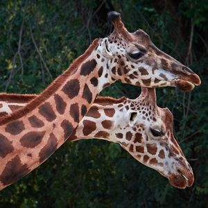 Image post by @bbcearth on Instagram
