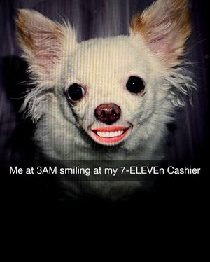 Image post by @7eleven on Instagram