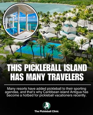 Image post by @thepickleballclinic on Instagram