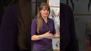 Video post by @crunchyroll on YouTube