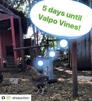 Image post by @shsatherton on Instagram
