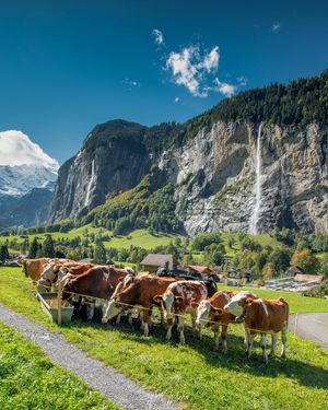 Image post by @jungfraujochtopofeurope on Instagram