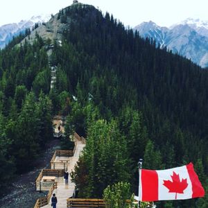 Image post by @justindowling10 on Instagram