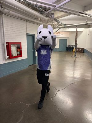 Image post by @TorontoUltra on Twitter