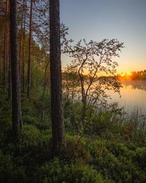 Image post by @samimatias on Instagram