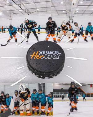 Image post by @the_rinks on Instagram
