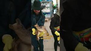 Video post by @ctvtelevision on YouTube
