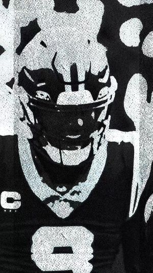 Video post by @panthers on TikTok