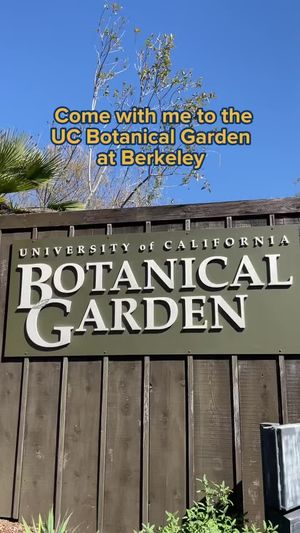 Video post by @ucberkeley on TikTok