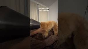 Video post by @tedflixnchill on YouTube