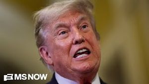 Video post by @msnbc on YouTube